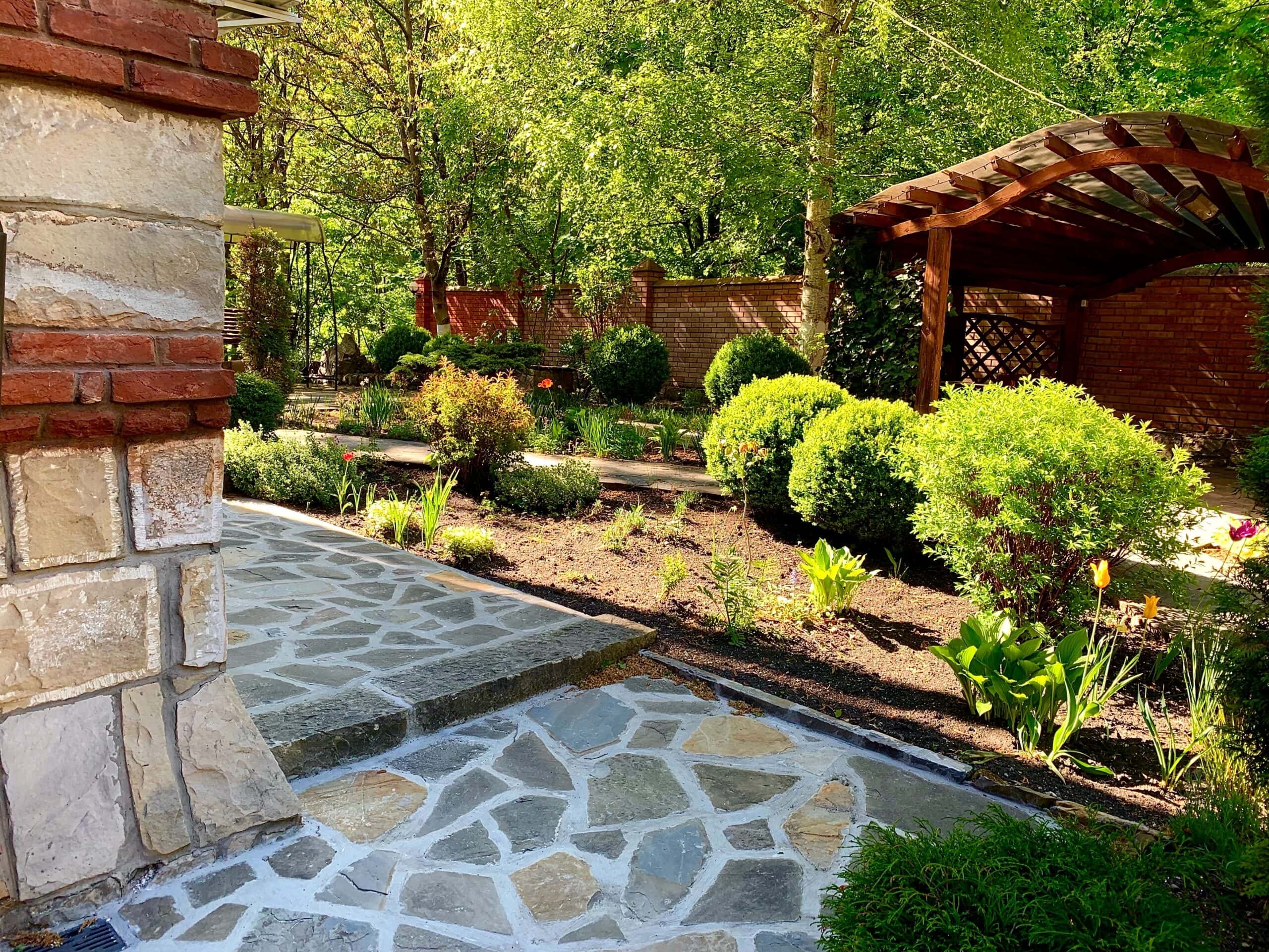 view-of-the-backyard-of-a-private-house-shrubs-b-2025-03-18-19-38-09-utc